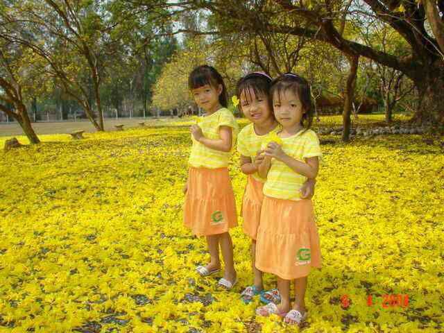 beautiful flower with 3 girls