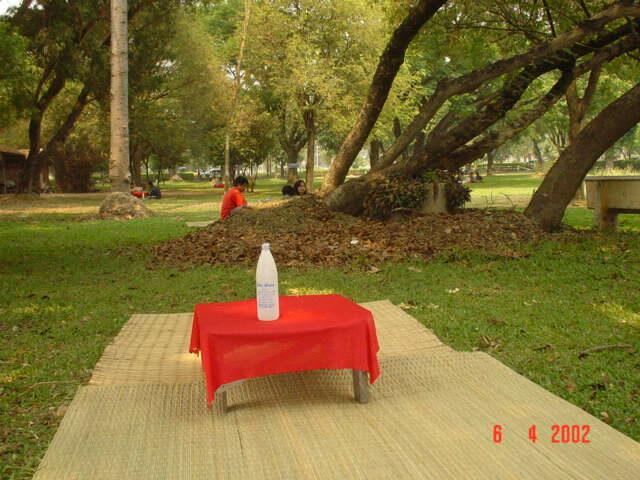 โต๊ะแดงรอบหนองกระทิง ปี 2002