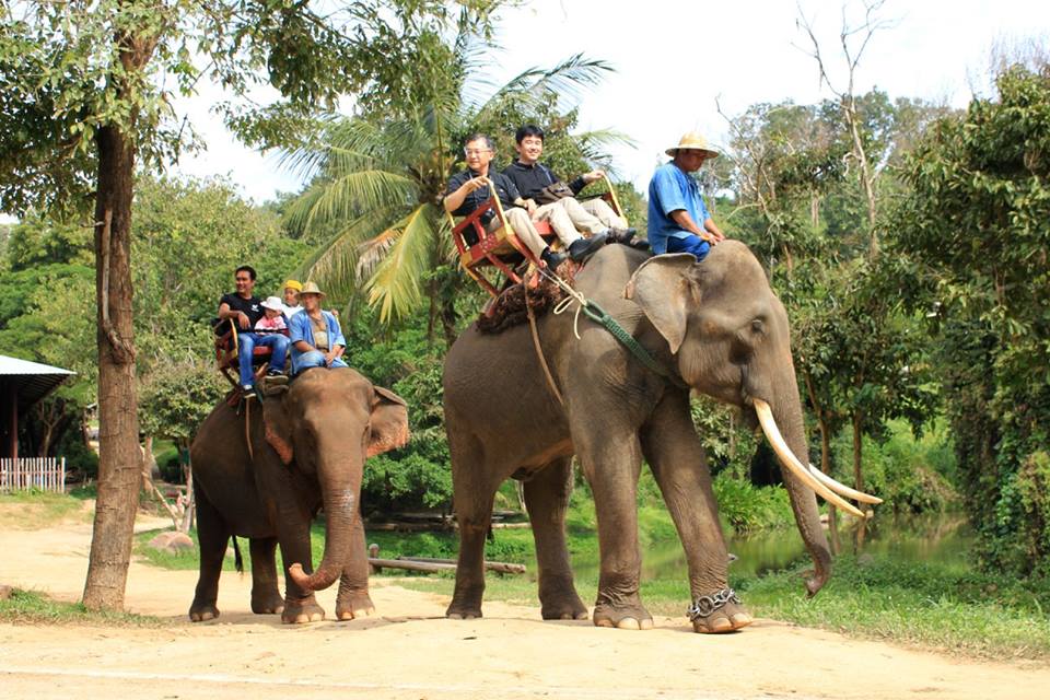 นั่งช้างที่ศูนย์อนุรักษ์ช้างไทย